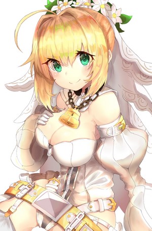 Nero Claudius from Fate Series
