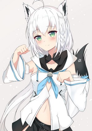 Shirakami Fubuki from Hololive