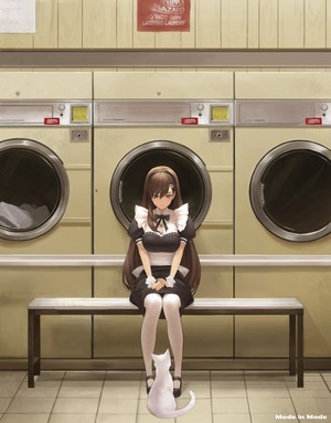 Maid and cat in a laundromat