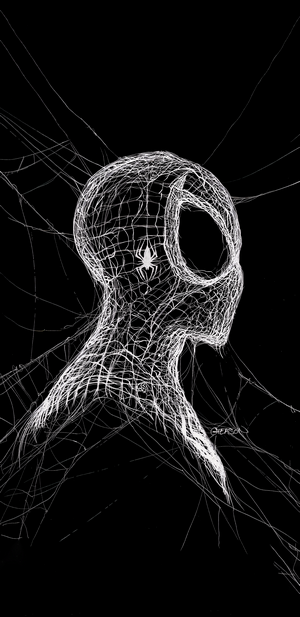 Spider-Man mask made of spider webs