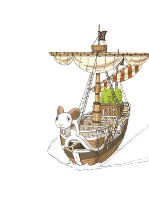 Going Merry ship from One Piece