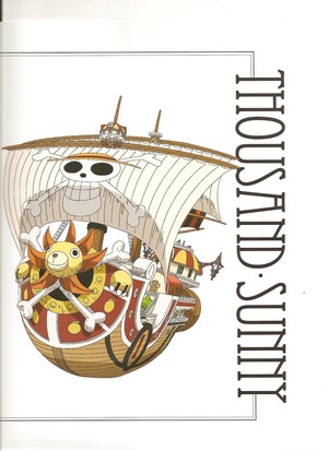 Thousand Sunny ship from One Piece
