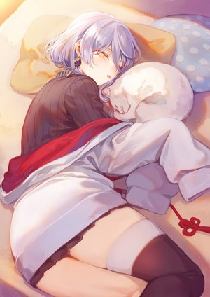Anime girl with silver hair sleeping with a cat