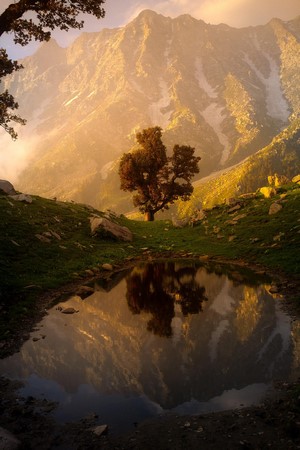 Tree and mountain reflection in a small lake in India
