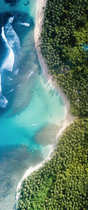 Aerial view of a tropical island beach with palm trees and turquoise water