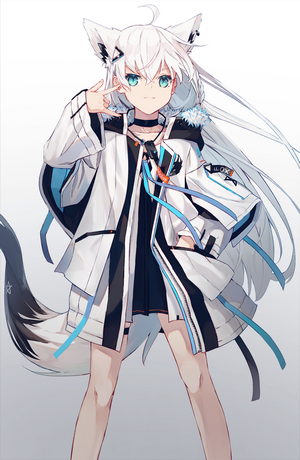Shirakami Fubuki from Hololive