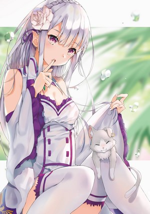 Emilia and Puck from Re:Zero