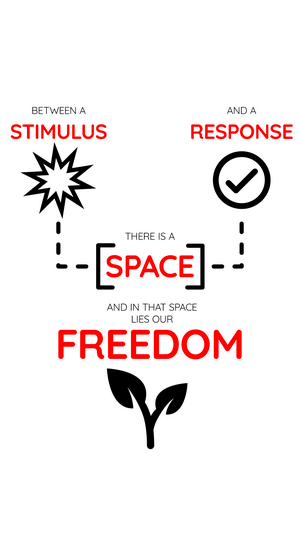 Stimulus, Space, Response, and Freedom