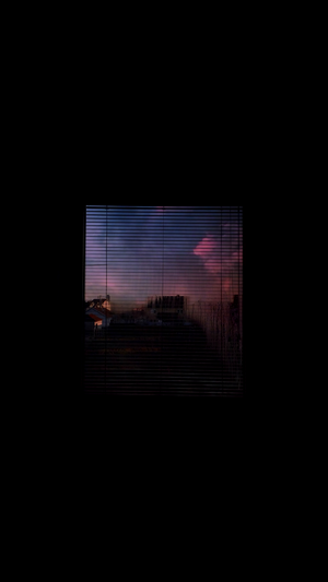 View through blinds at sunset