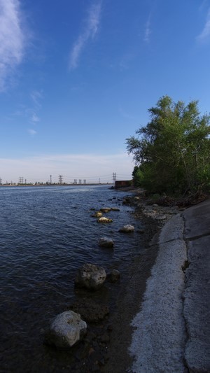 Waterfront with rocks, trees, and power lines under a blue sky