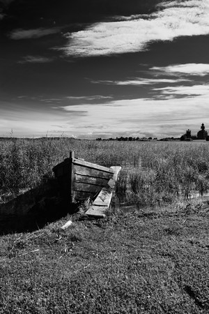 Old wooden boat in reeds by a body of water