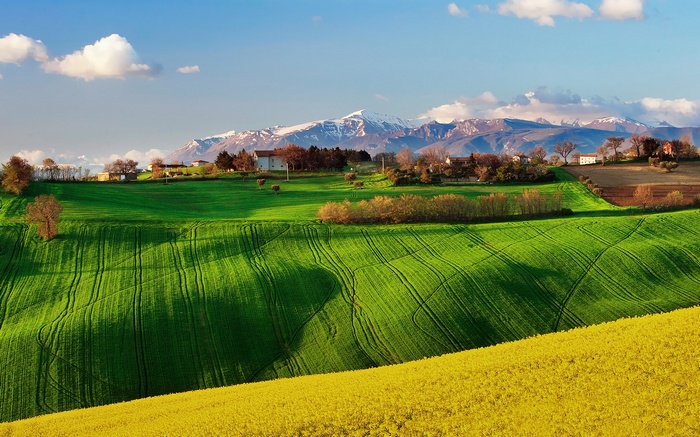 Rolling green hills with a yellow field and mountains