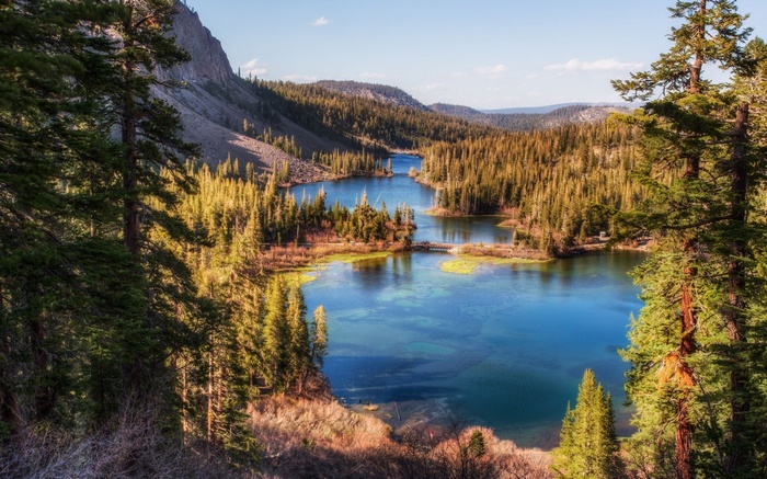Lakes and forest in the mountains