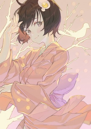Araragi Tsukihi from Monogatari Series in Kimono