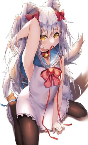 Anime girl with silver hair and animal ears kneeling