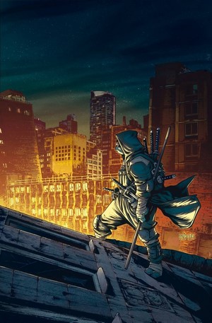 Warrior on rooftops at night, Teenage Mutant Ninja Turtles artwork