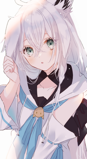 Shirakami Fubuki from Hololive