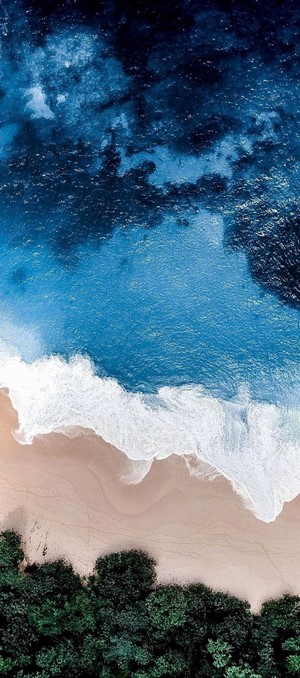 Aerial view of a tropical beach with lush green trees