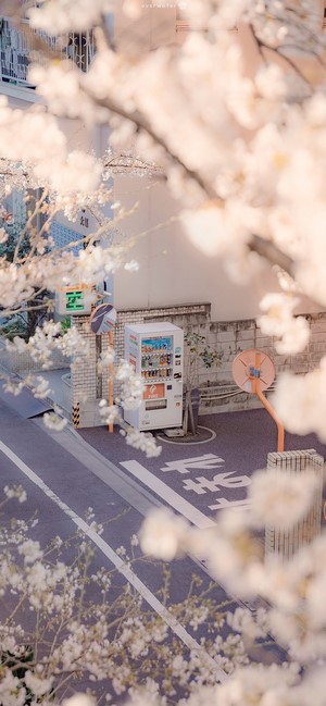 Sakura Airi from Japan with Vending Machine