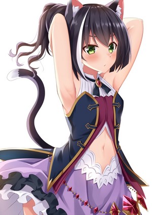 Kyaru from Princess Connect! Re:Dive Cat Girl Artwork