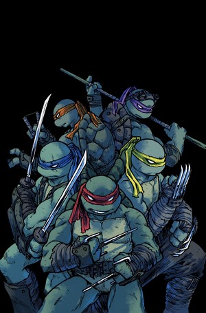 Teenage Mutant Ninja Turtles by Sophie Campbell