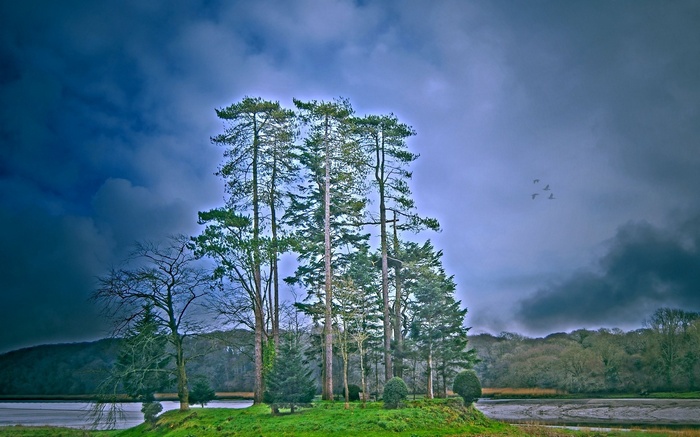 Trees on a small island with birds flying in a cloudy sky