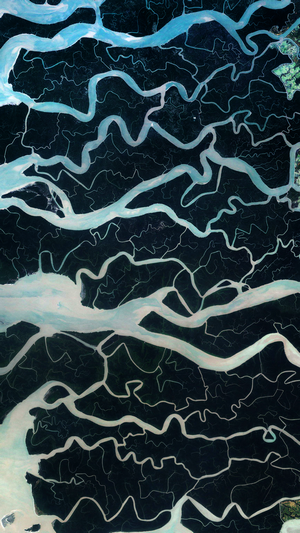 Aerial view of a river delta with intricate waterways