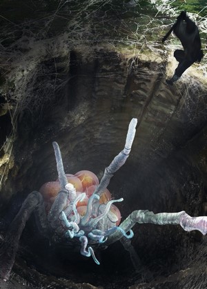 Giant spider with eggs and a person in a cave