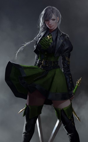 Fantasy art portrait of a woman with swords