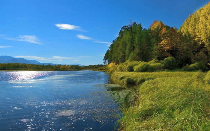 River flowing through a forest with mountains in the distance