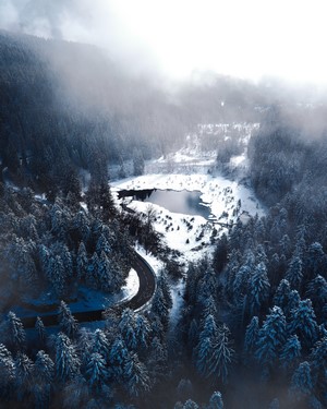 Aerial view of a snow-covered forest and lake
