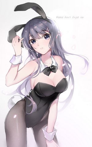 Sakurajima Mai Bunny Girl from Seishun Buta Yarō wa Bunny Girl-senpai no Yume wo Minai
