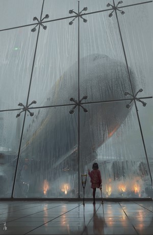 Girl with crutches looking at a crashed airplane in the rain