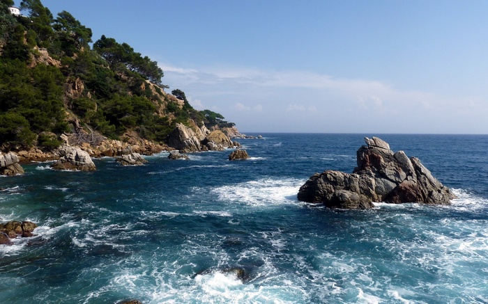 Rocky coastline with trees and blue ocean