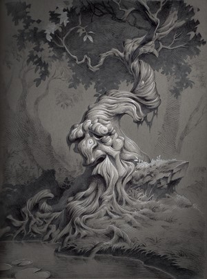 Old tree with a face by Kevin Keele