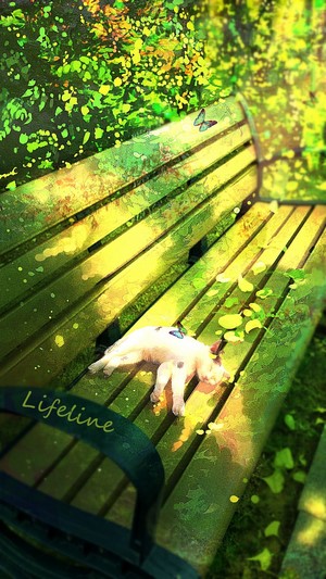 Cat sleeping on a bench with butterflies