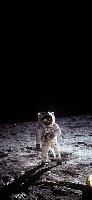 Astronaut on the Moon