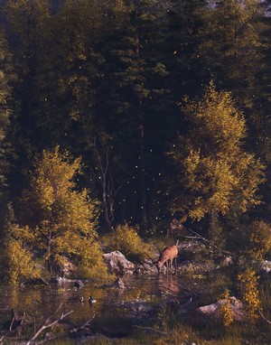 Deer drinking from a forest stream with ducks