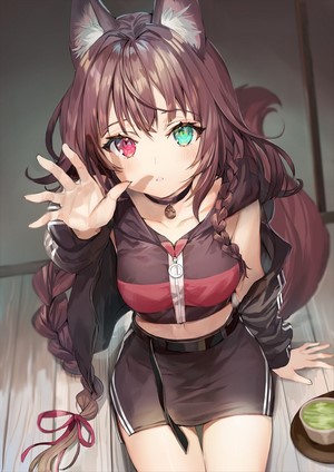 Fox girl with heterochromia and braids