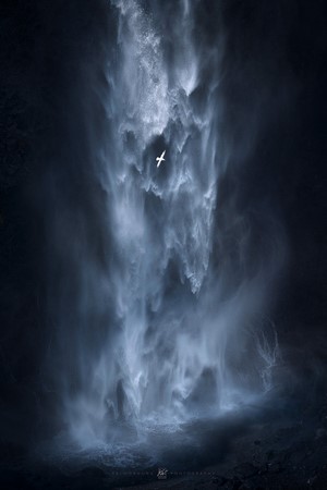 Bird flying in front of a waterfall by Kai Hornung