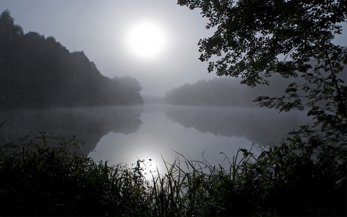 Misty lake at sunrise with trees and foliage