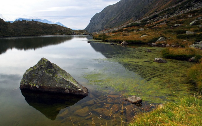 Mountain lake with rocks and green algae