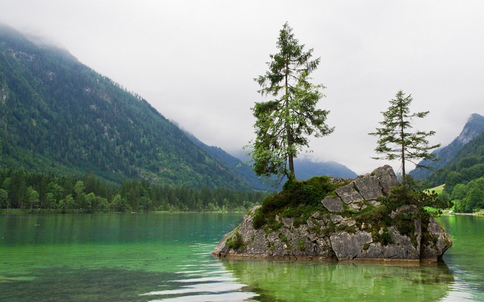 Trees on a rock in a lake with mountains