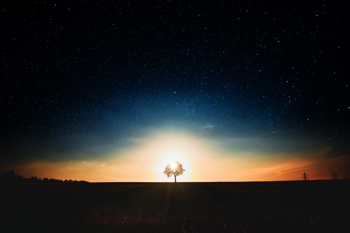 Tree silhouetted against sunset and starry sky