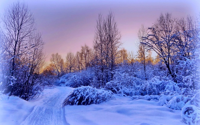 Snowy path through a winter forest at sunset