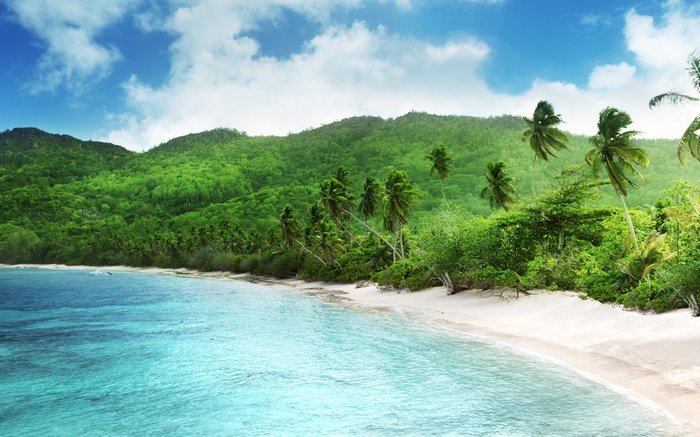 Tropical beach with palm trees and green mountains