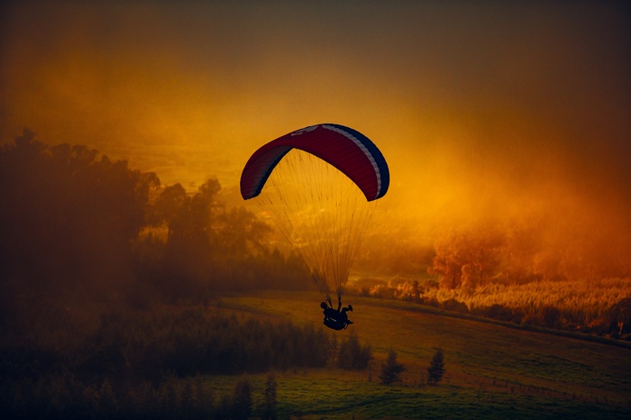 Paraglider flying over a forest at sunset