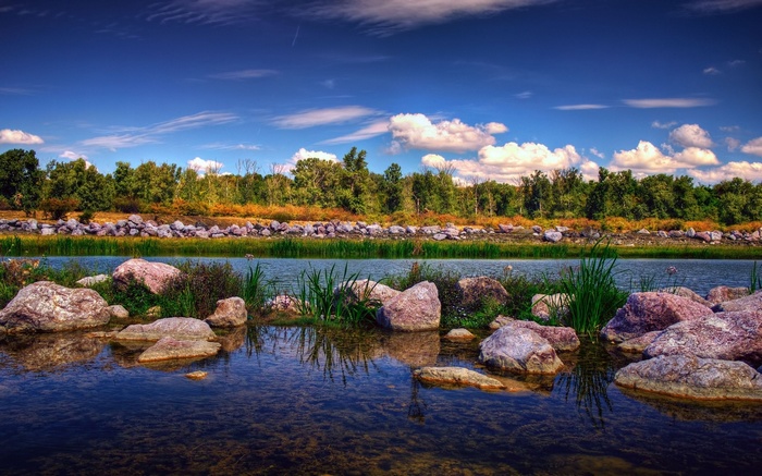 Rocky shore with trees and blue sky