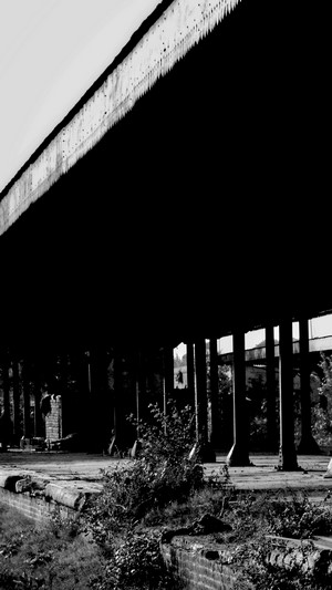 Abandoned structure with pillars and overgrown vegetation