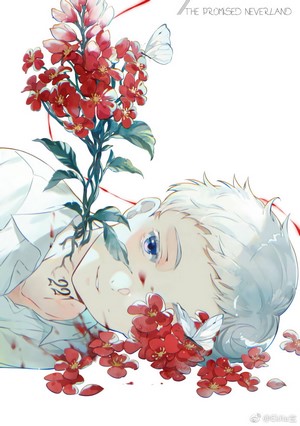 Norman from The Promised Neverland with flowers